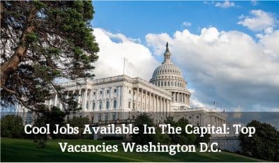 Cool Jobs Available In The Capital: Top Vacancies Washington D.C.